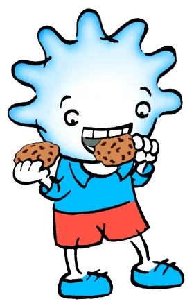 Sevtik cookies